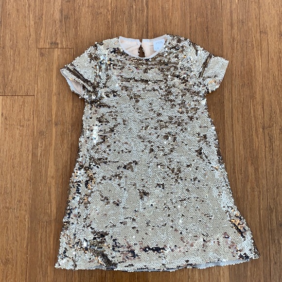 Zara Dresses Zara Fully Lined Sequin Dress Poshmark
